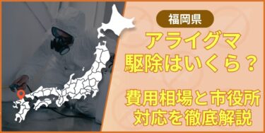 raccoon-fukuoka-eyecatching2