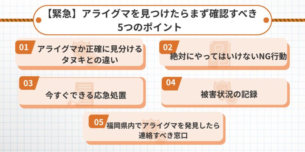 アライグマを見つけたときの5つのポイント