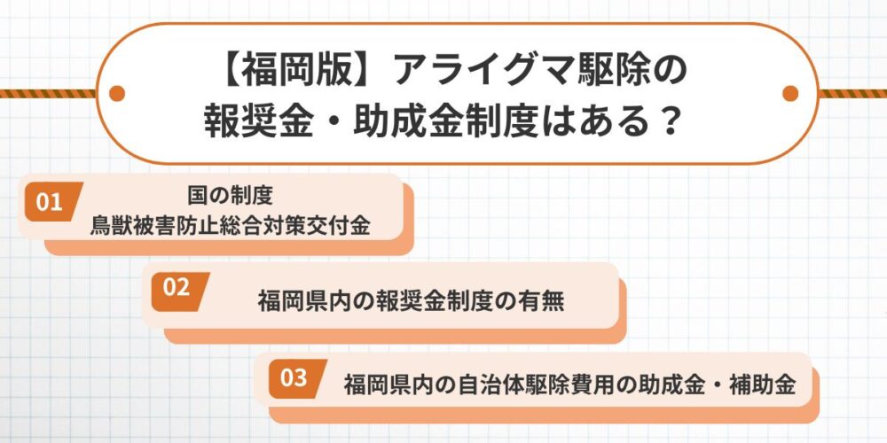 【福岡版】アライグマ駆除の報奨金・助成金制度はある？