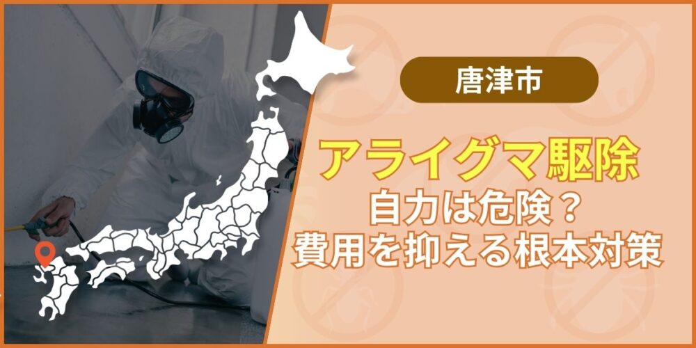 【2026年版】唐津のアライグマ駆除｜自力は危険？費用を抑える根本対策