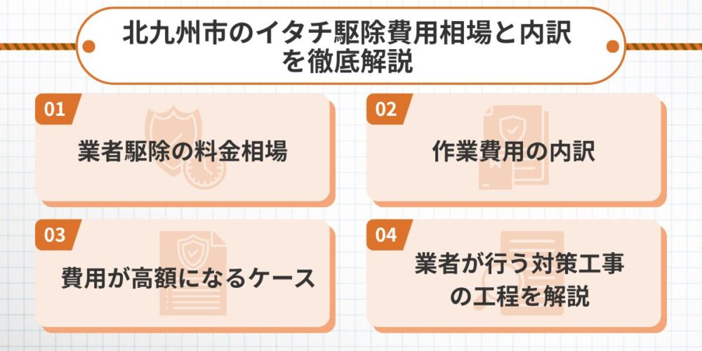 【最重要】北九州市のイタチ駆除費用の完全相場ガイド