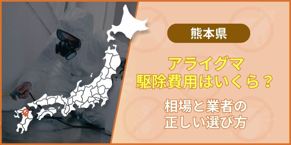 熊本のアライグマ駆除費用はいくら？3つの解決策と業者の選び方まとめ