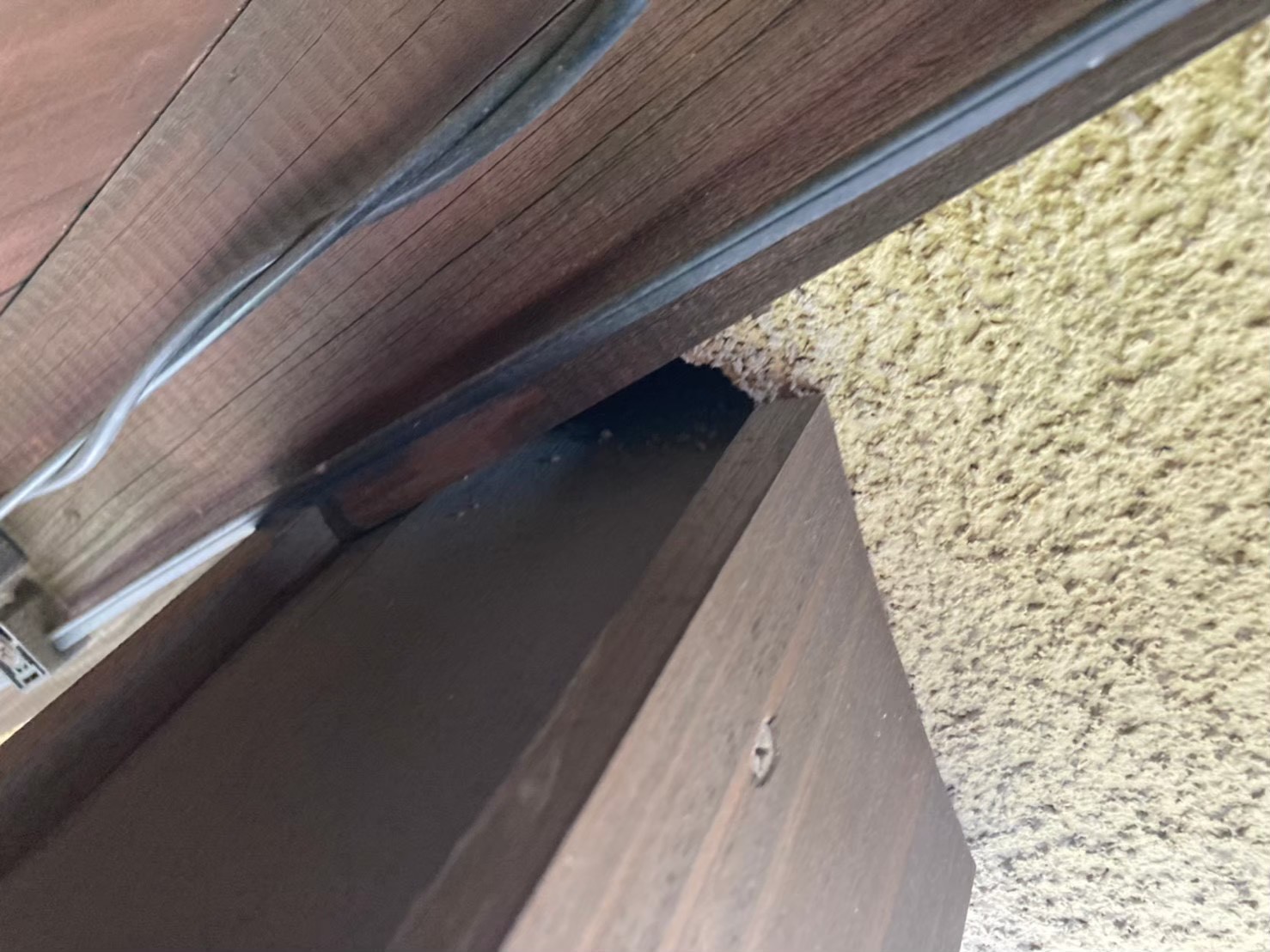 ネズミによる被害 Y様邸 駆除実績