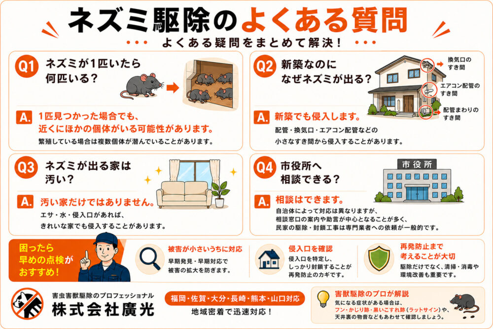 ネズミ駆除のよくある質問