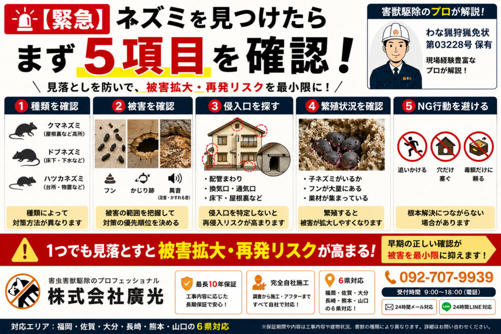 ネズミを発見したら確認すべき5つのポイント