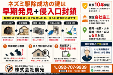 ネズミ駆除完全ガイド！効果的な退治・対策方法を徹底解説【2026年最新】