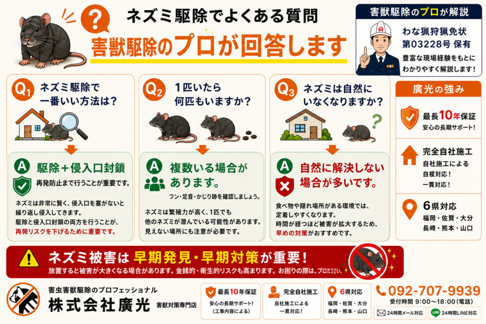 ネズミ駆除に関するよくある質問と回答