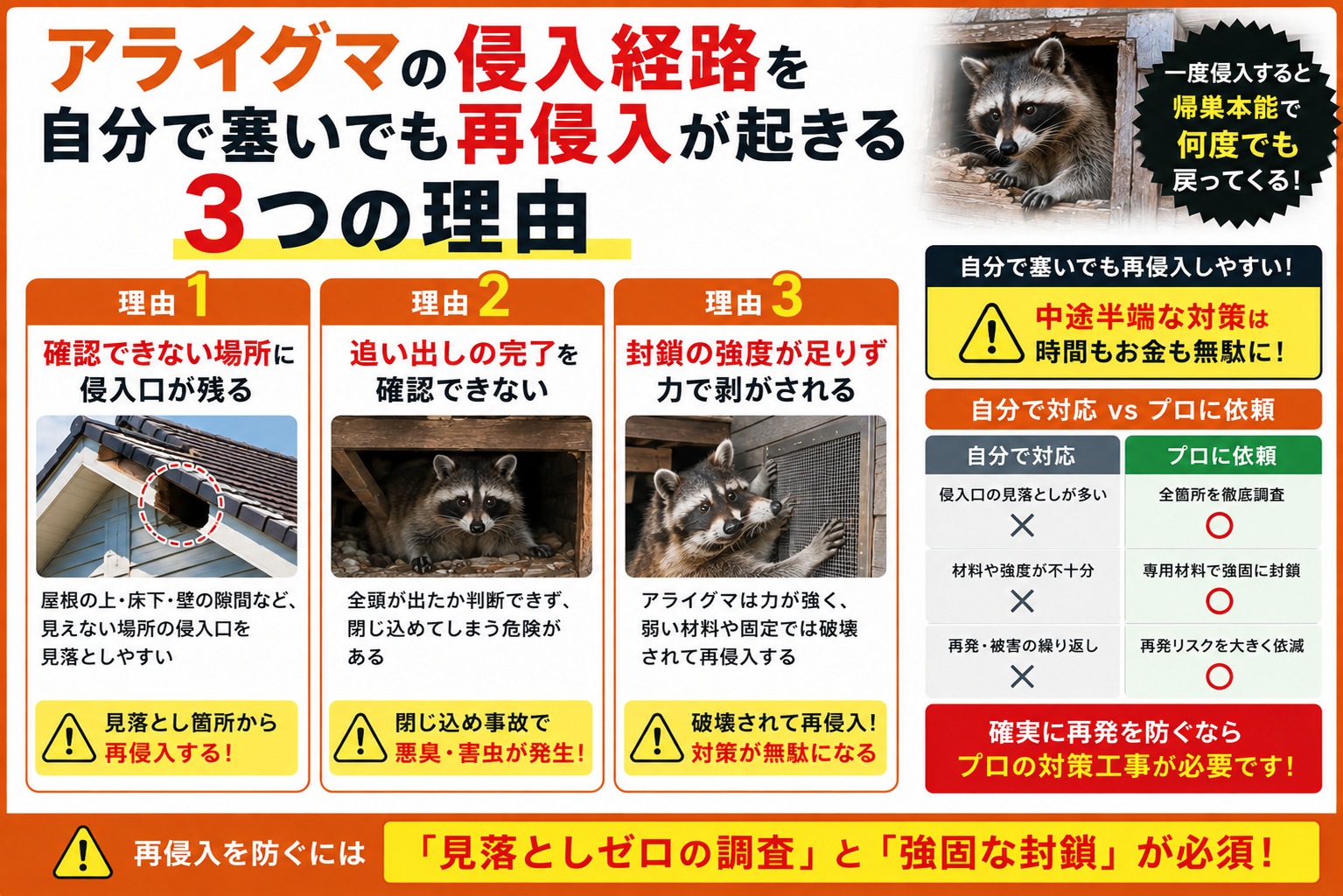 アライグマの侵入経路を自分で塞いでも再侵入が起きる3つの理由