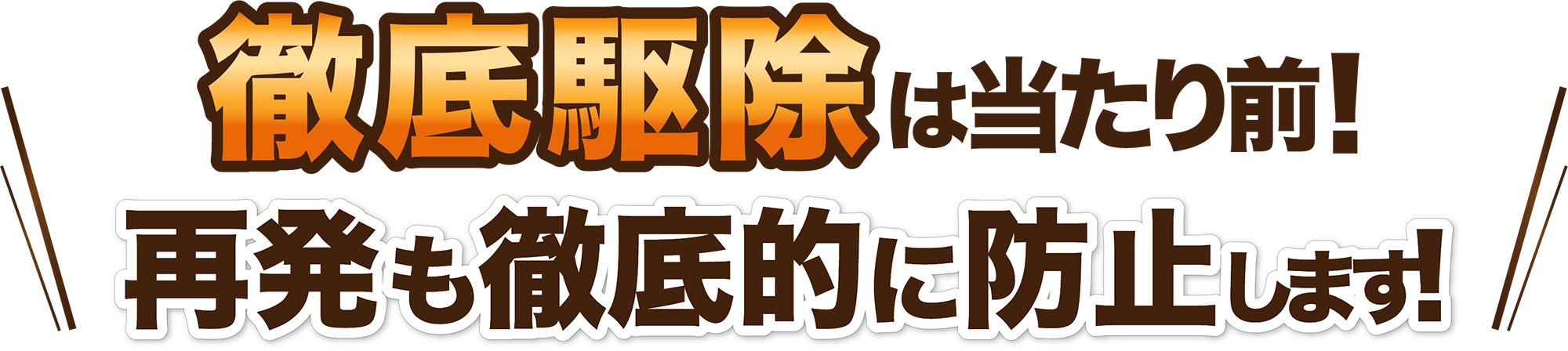 徹底駆除は当たり前、再発も徹底的に防止します！