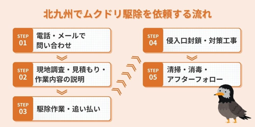 ムクドリ駆除を業者に依頼する流れ
