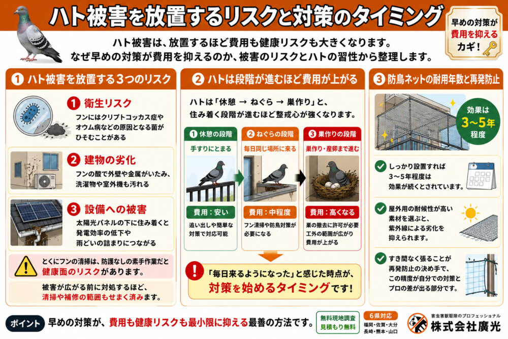 ハト被害を放置するリスクと対策のタイミング