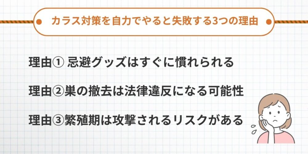 カラス対策を自力でやると失敗する3つの理由