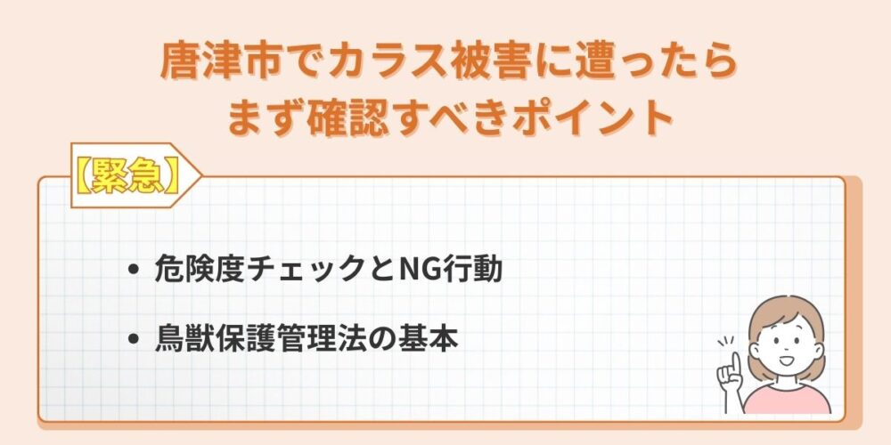 【緊急】唐津市でカラス被害に遭ったらまず確認すべきポイント