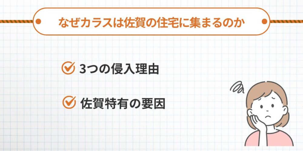 なぜカラスは佐賀の住宅に集まるのか