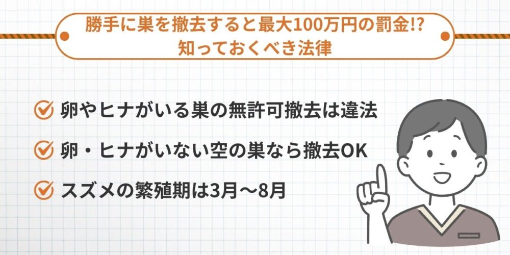 勝手に巣を撤去すると最大100万円の罰金!? 知っておくべき法律