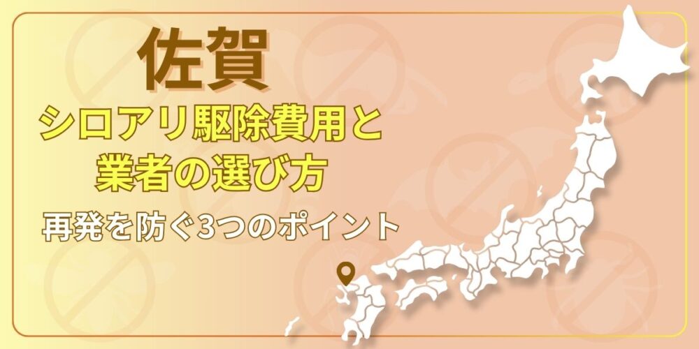 佐賀県のシロアリ駆除業者の選び方と費用を解説｜再発を防ぐ3つのポイントも