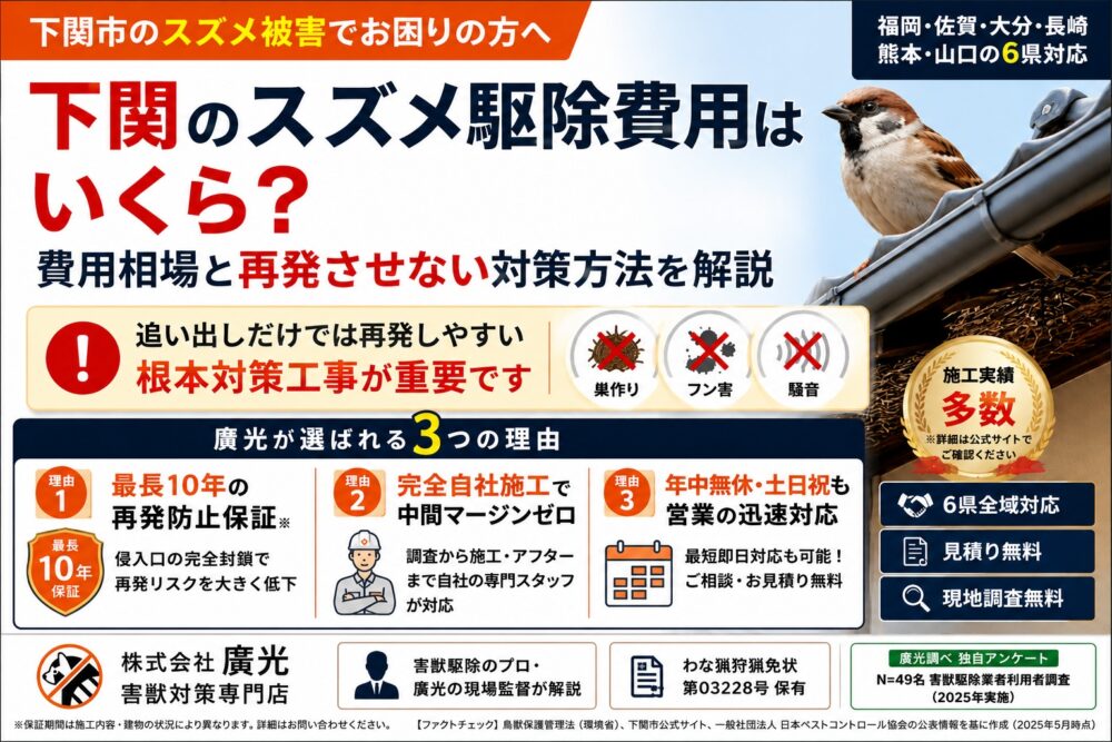 下関のスズメ駆除費用はいくら？再発させない対策方法をプロが解説