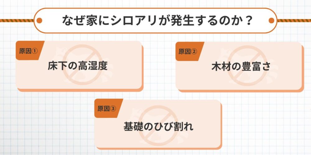 なぜ家にシロアリが発生するのか？北九州の環境的要因