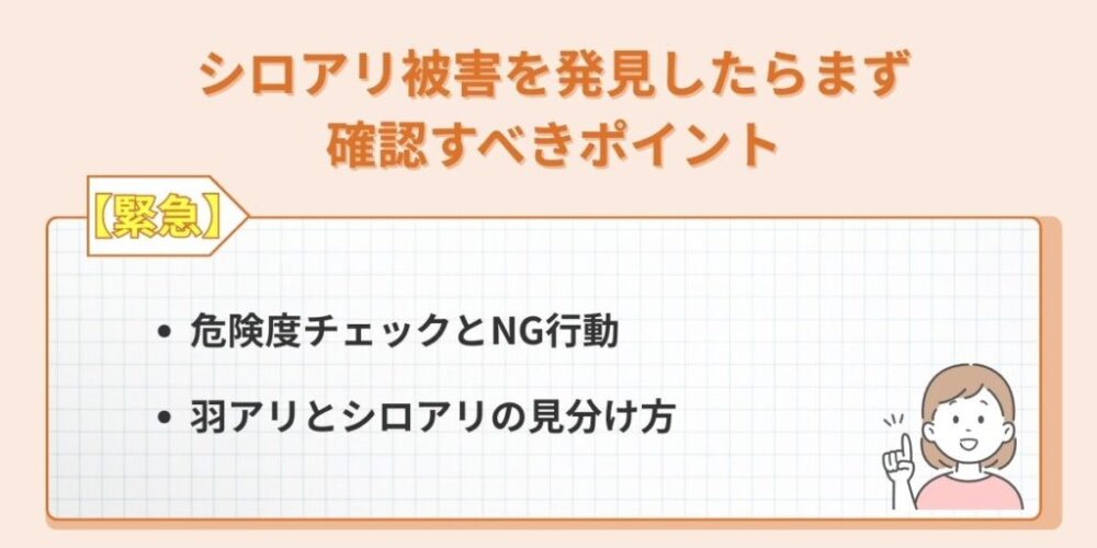 シロアリ被害を発見したらまず確認すべきポイント