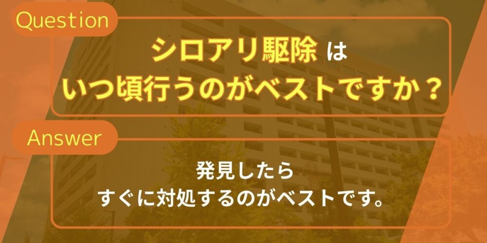 シロアリ駆除はいつ頃行うのがベストですか？