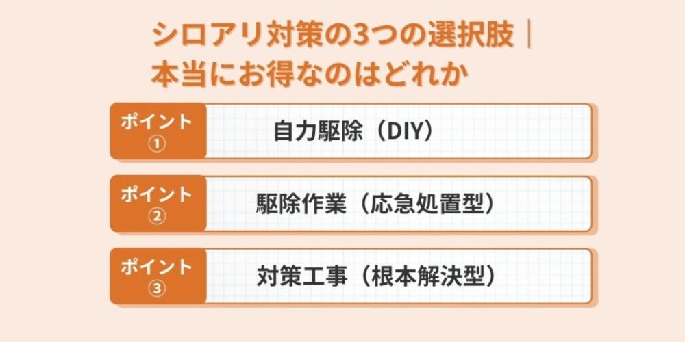 シロアリ対策の3つの選択肢｜本当にお得なのはどれか