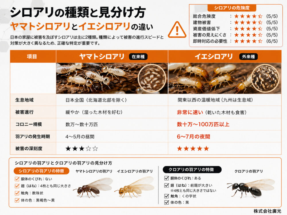 シロアリの種類と見分け方｜ヤマトシロアリとイエシロアリの違い