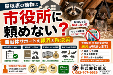 屋根裏の動物は市役所に頼めない？自治体サポートの限界と解決策