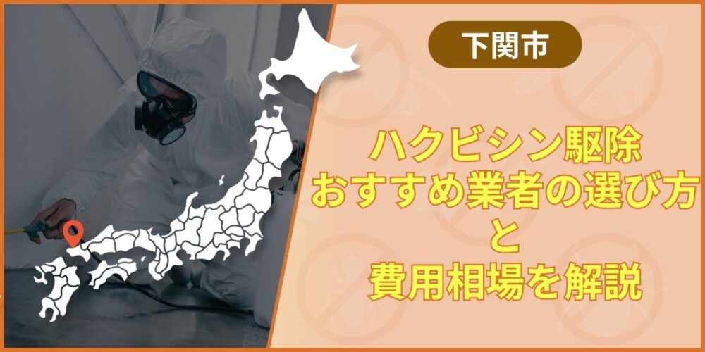 【下関市】ハクビシン駆除おすすめ業者の選び方｜費用相場と注意点も解説
