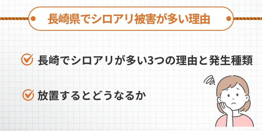 長崎県でシロアリ被害が多い理由｜温暖多湿な気候が生む危険