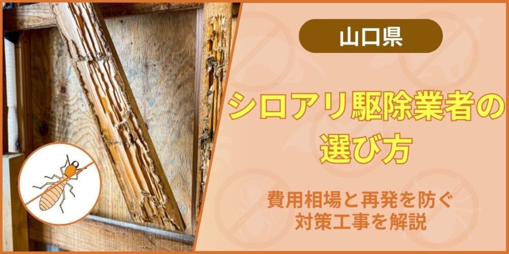 山口のシロアリ駆除業者の選び方|費用相場と再発を防ぐ対策工事を解説