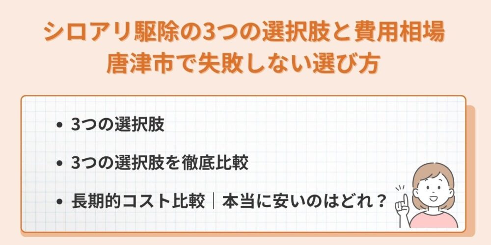シロアリ駆除の3つの選択肢と費用相場｜唐津市で失敗しない選び方