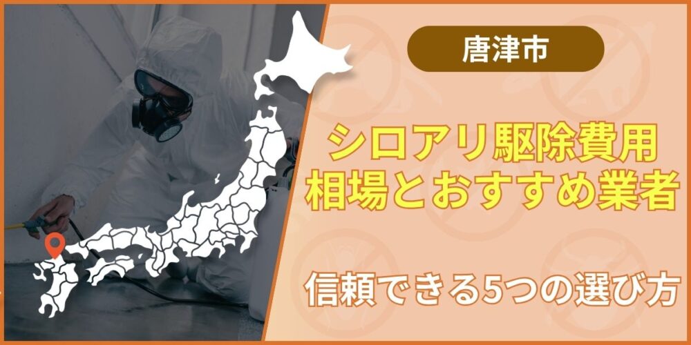 唐津市のシロアリ駆除費用相場とおすすめ業者｜信頼できる5つの選び方