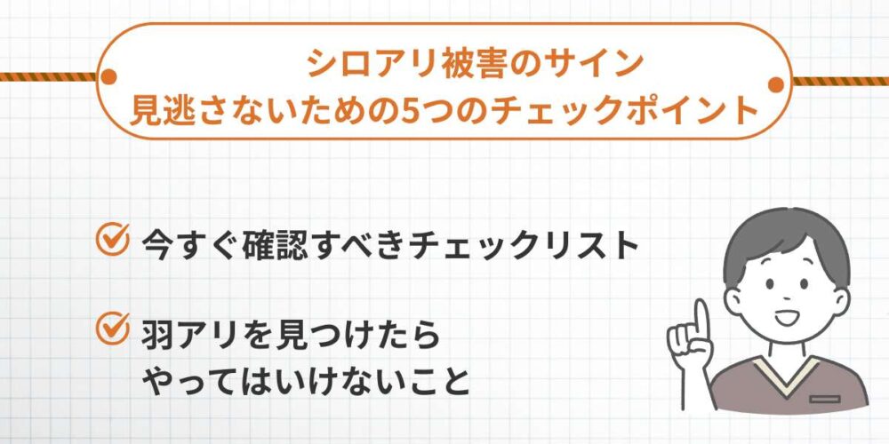 シロアリ被害のサイン｜見逃さないための5つのチェックポイント