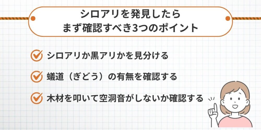 シロアリを発見したらまず確認すべき3つのポイント