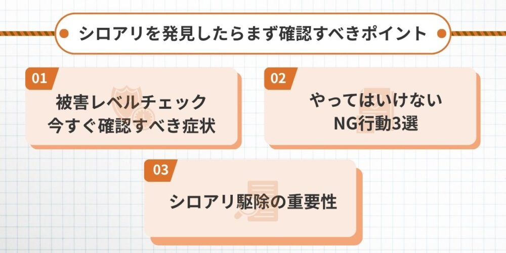 シロアリを発見したらまず確認すべきポイント