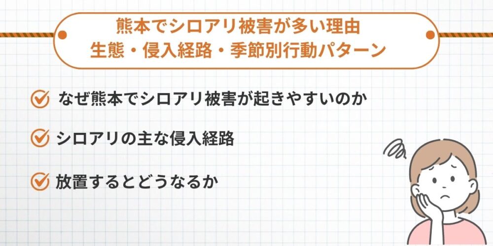 熊本でシロアリ被害が多い理由