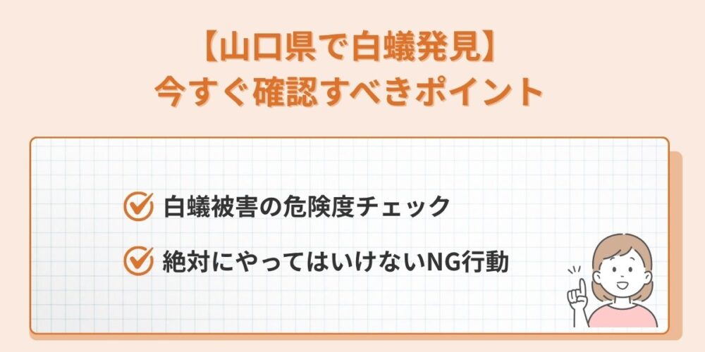 山口県 白蟻　確認ポイント