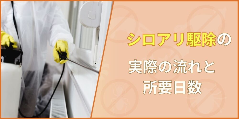 シロアリ駆除の実際の流れと所要日数