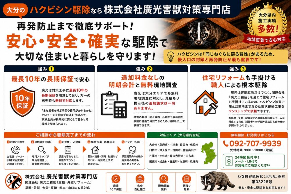 大分のハクビシン駆除なら株式会社廣光害獣対策専門店