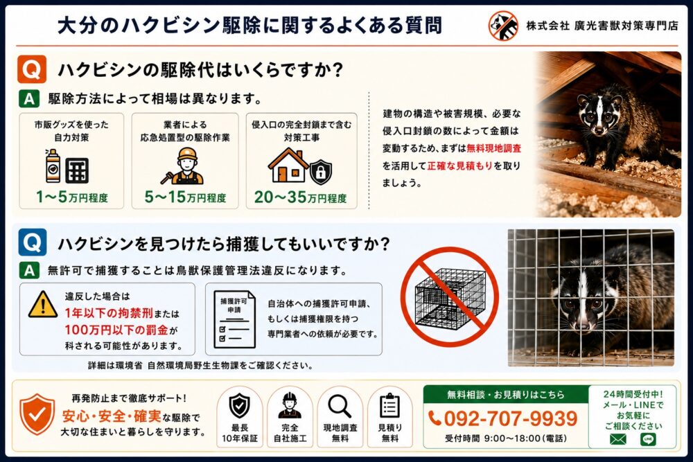 大分のハクビシン駆除に関するよくある質問
