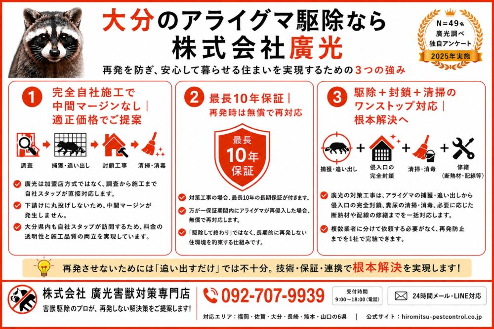 大分のアライグマ駆除なら廣光
