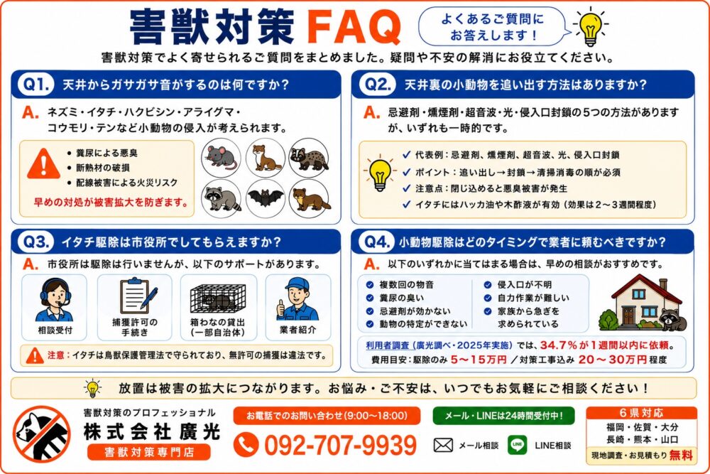 小動物駆除に関するよくある質問と回答