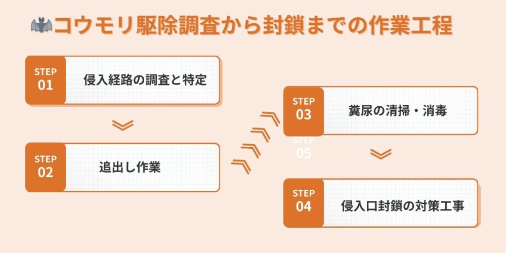 北九州コウモリ‐作業ステップ