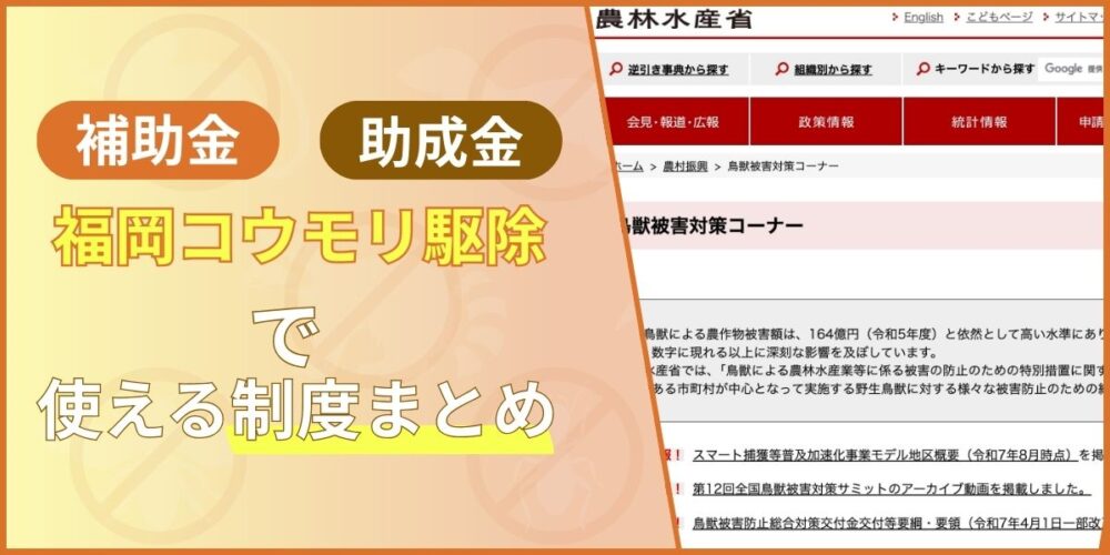 福岡コウモリ‐助成金制度まとめ