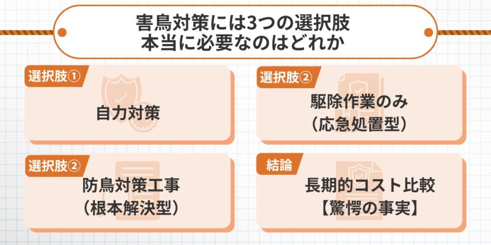 害鳥対策には3つの選択肢
