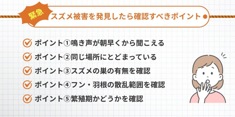 久留米スズメ‐緊急チェックポイント