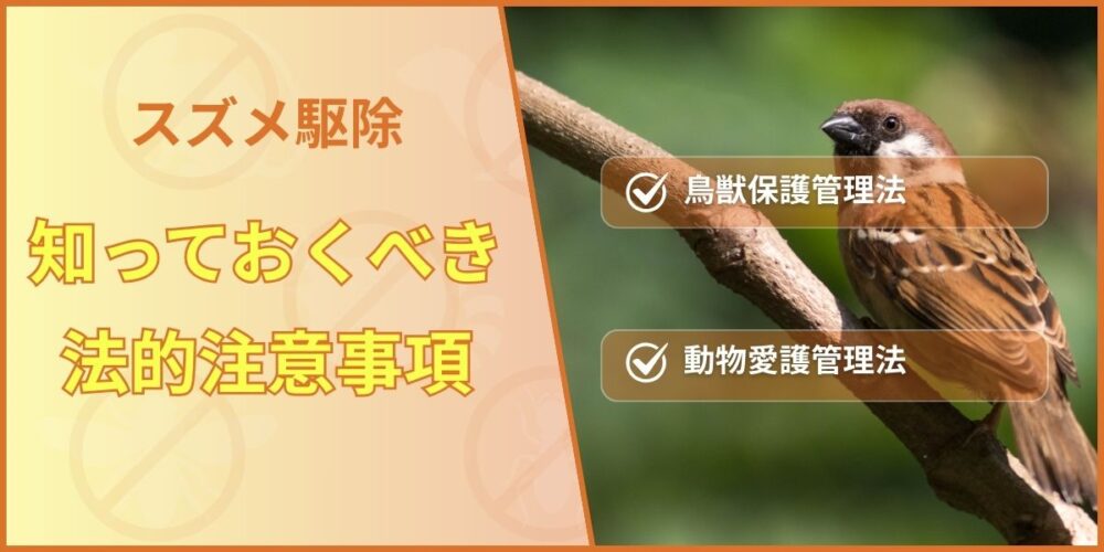 知っておくべき法的注意事項