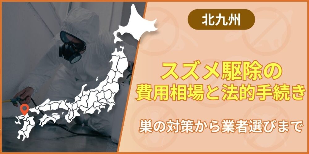 北九州市スズメ駆除の費用相場と法的手続き｜巣の対策から業者選びまで