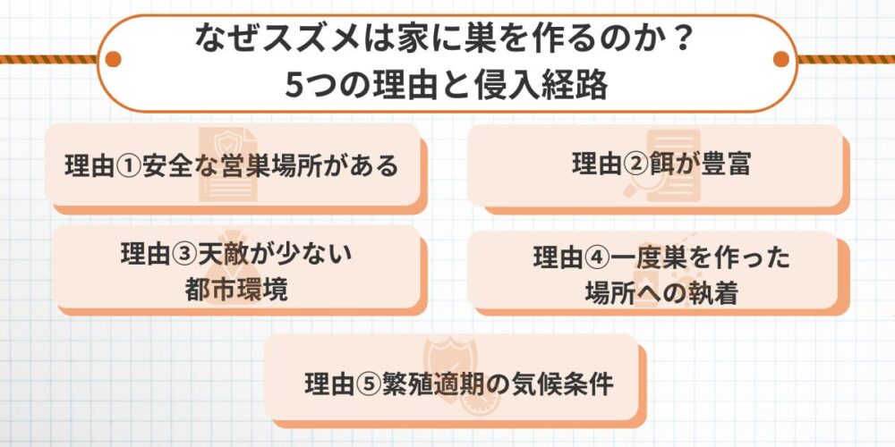 なぜスズメは家に巣を作るのか?|5つの理由と侵入経路