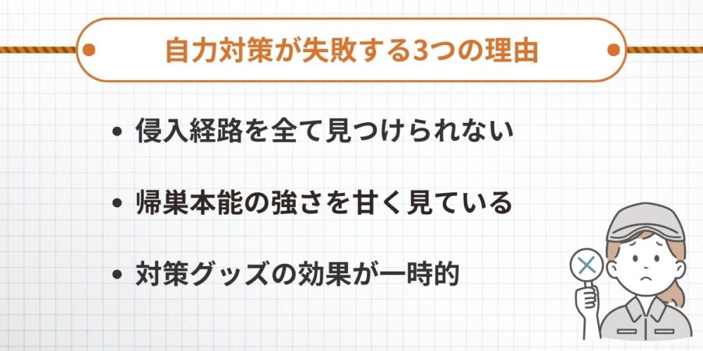 自力対策が失敗する3つの理由